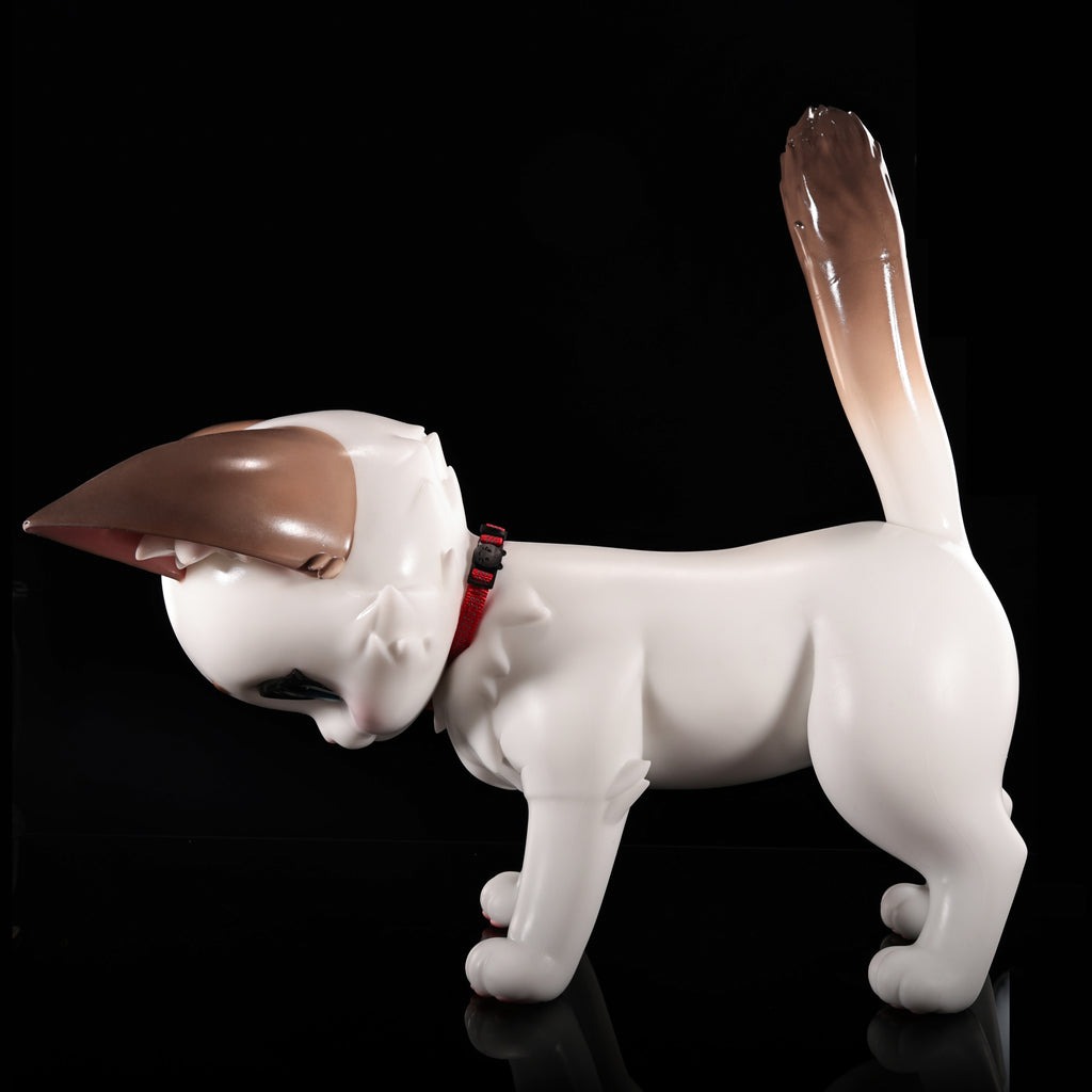 Lucky Whisker – The Fortune Feline