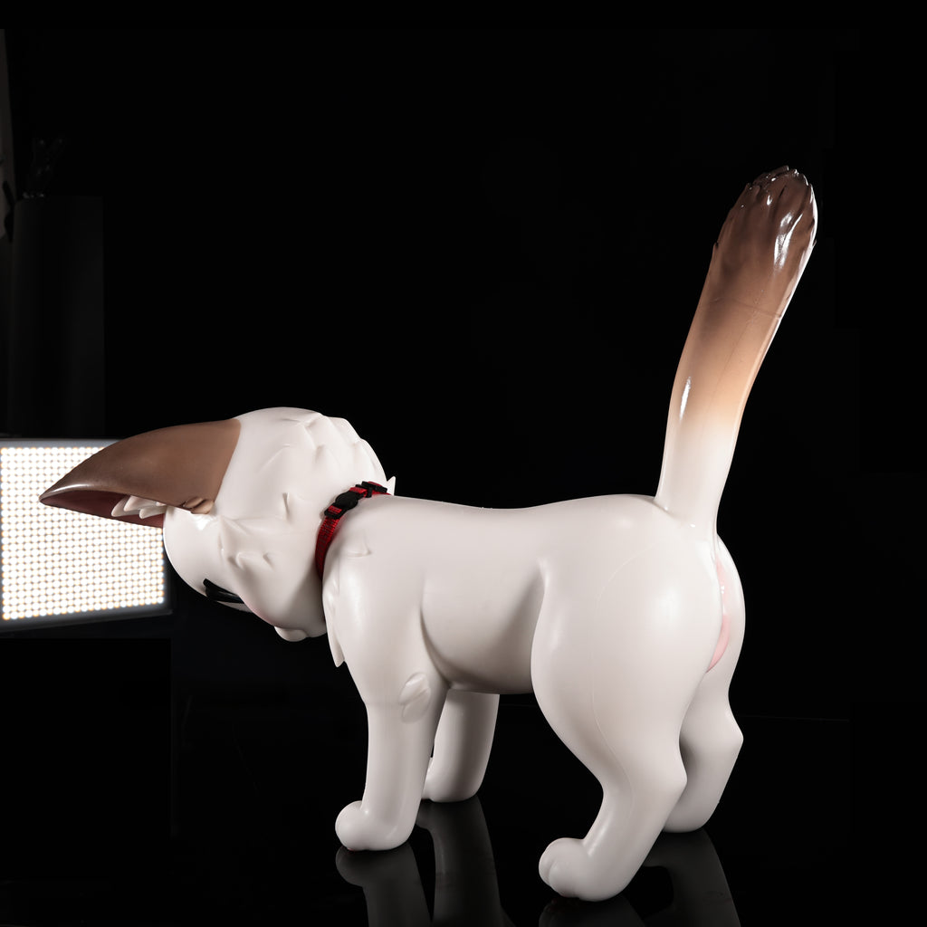 Lucky Whisker – The Fortune Feline